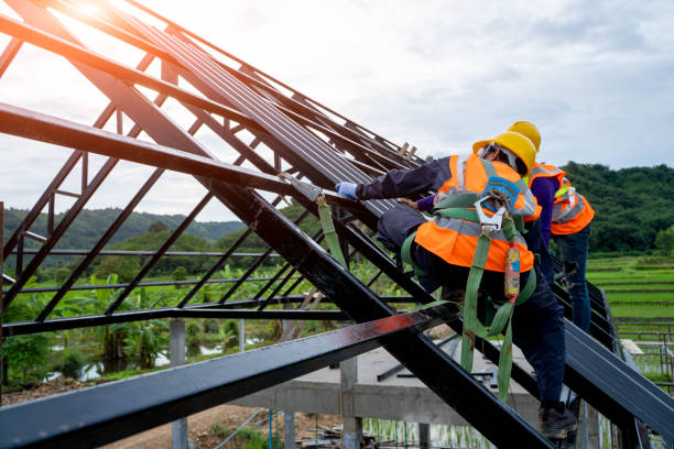 Best Roof Gutter Cleaning  in Mission Bend, TX